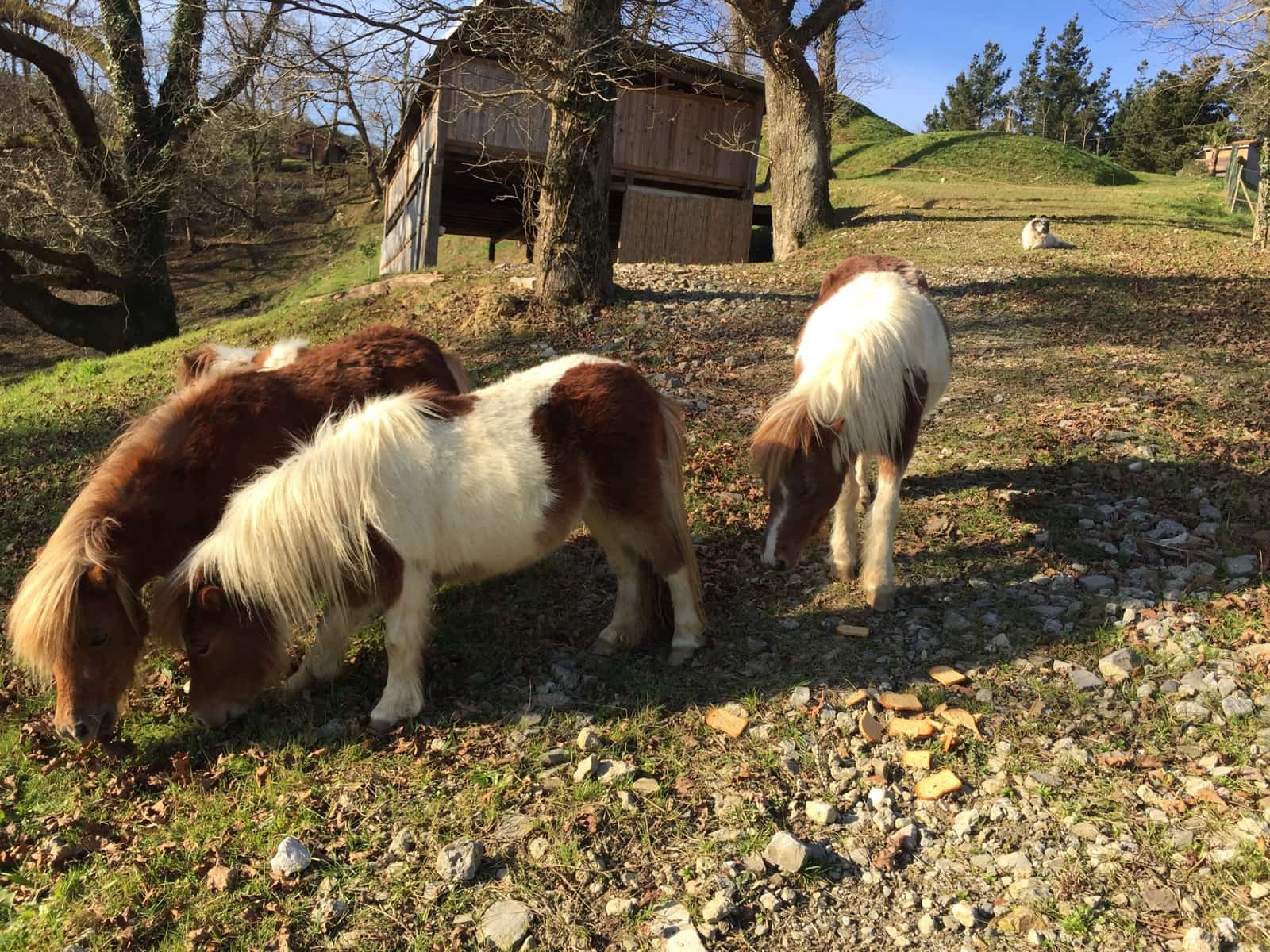 4 soveværelse Semi-Rækkehus til salg i Hondarribia med swimmingpool garage - € 1.600.000 (Ref: 7739226)
