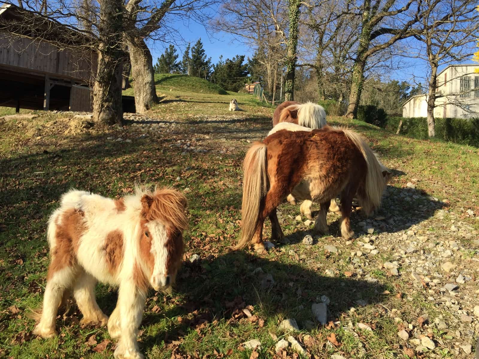 4 soveværelse Semi-Rækkehus til salg i Hondarribia med swimmingpool garage - € 1.600.000 (Ref: 7739226)