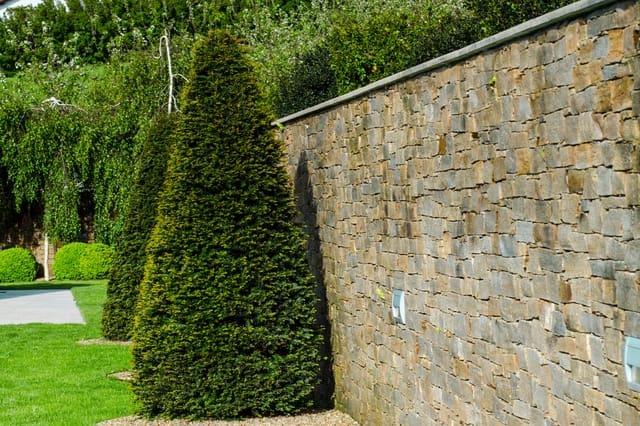 4 sovrum Villa att hyra i Donostia-San Sebastián med pool garage - 9 400 € (Ref: 8127067)