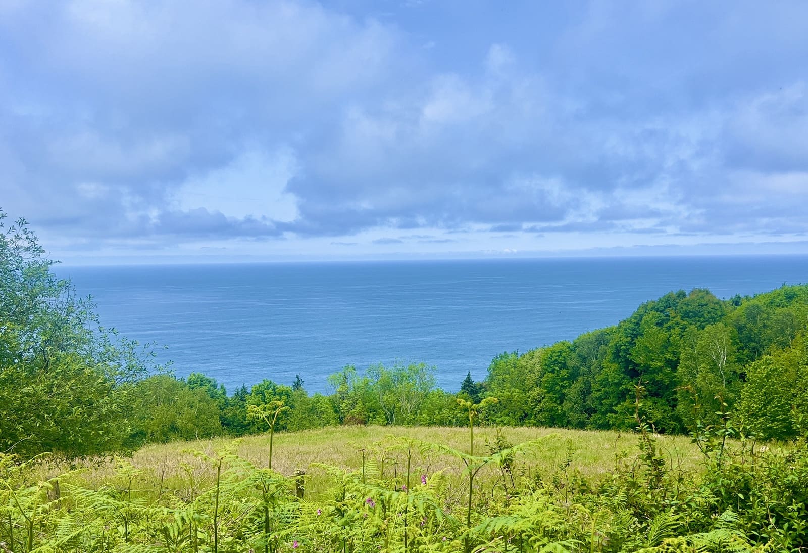 5 soveværelse Villa til salg i Donostia-San Sebastian med garage - € 2.500.000 (Ref: 8981686)