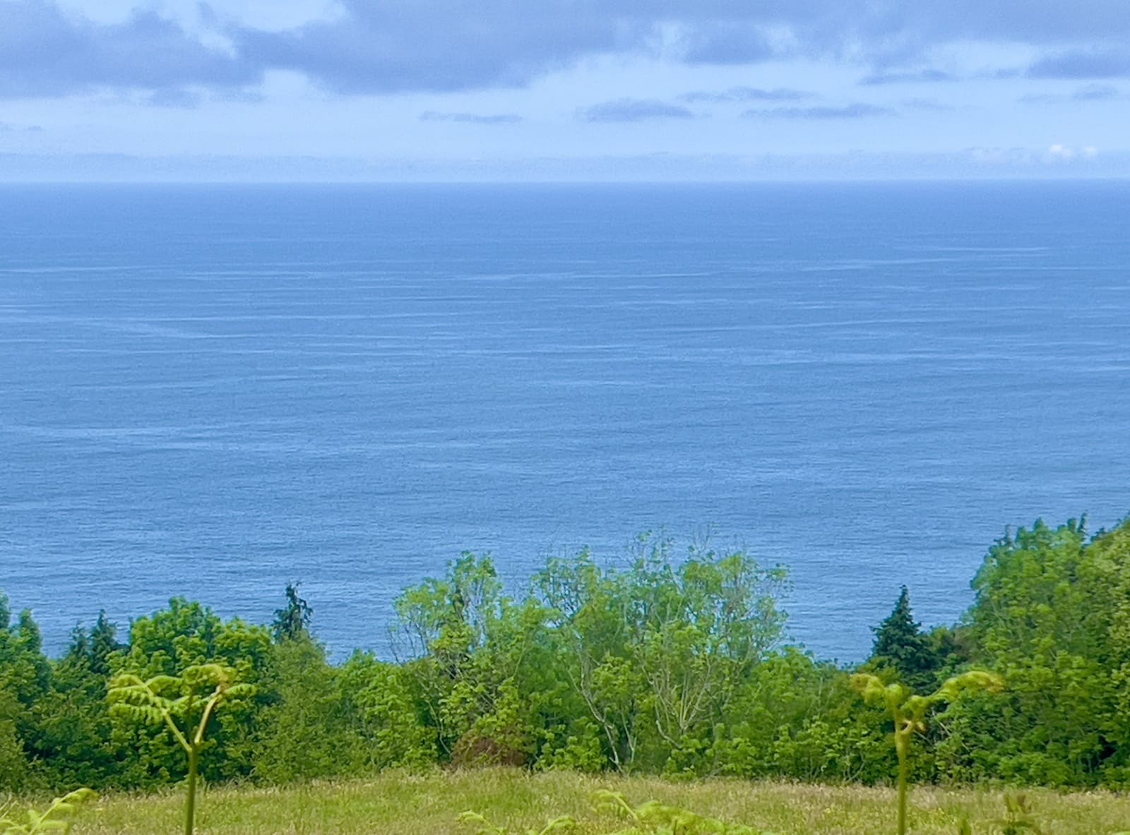 5 soveværelse Villa til salg i Donostia-San Sebastian med garage - € 2.500.000 (Ref: 8981686)