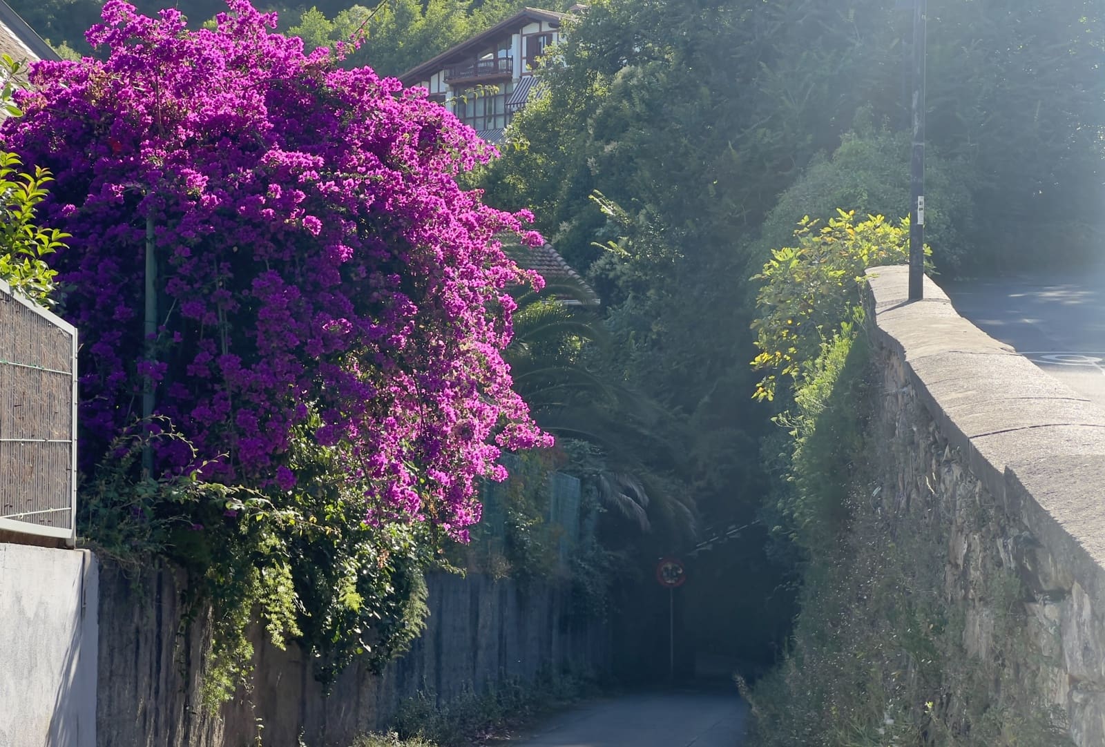 7 soveværelse Villa til salg i Donostia-San Sebastian med garage - € 3.700.000 (Ref: 9279723)