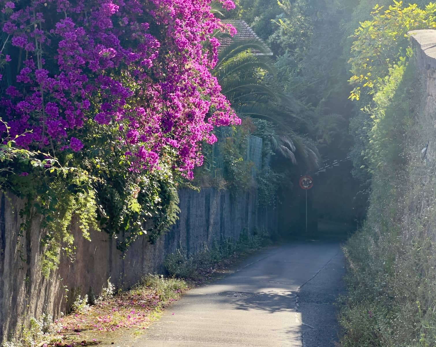 7 soveværelse Villa til salg i Donostia-San Sebastian med garage - € 3.700.000 (Ref: 9279723)