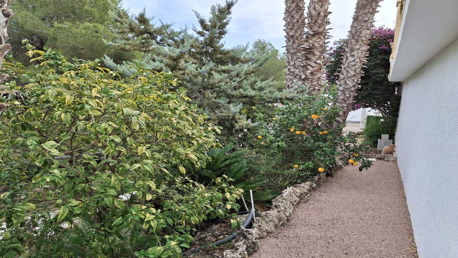 3 bedroom Villa for sale in Montemar with pool - € 525,000 (Ref: 9474493)