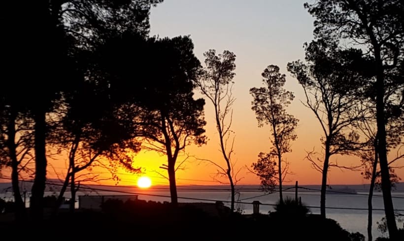 5 bedroom Villa for rent in Sol de Mallorca with pool - € 8,000 (Ref: 9411409)