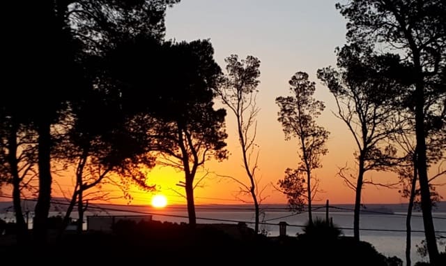 5 soveværelse Villa til leje i Sol de Mallorca, Calvià med swimmingpool - € 8.000 (Ref: 9411409)