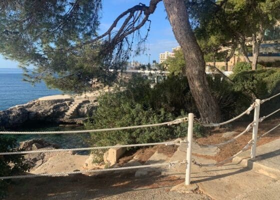 2 bedroom Apartment for rent in Illetas - € 3,500 (Ref: 9411455)