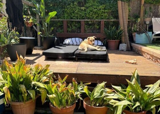 3 chambre Appartement à vendre à Santa Ponsa - 649 000 € (Ref: 9411489)