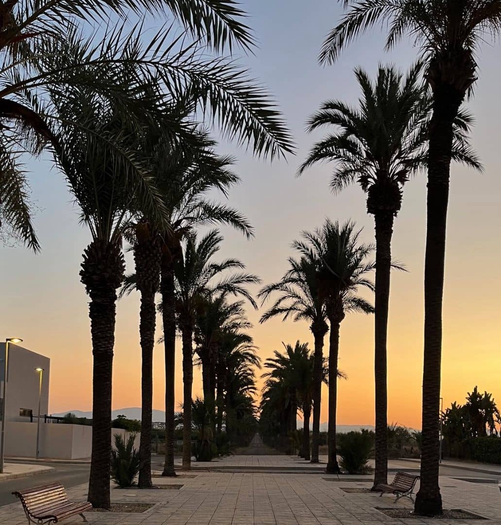 3 chambre Penthouse à vendre à Vera avec piscine garage - 229 000 € (Ref: 9095799)