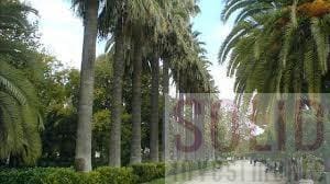 4 sypialnia Mieszkanie do wynajęcia w Miasto Walencja - 2 500 € (Ref: 4319520)