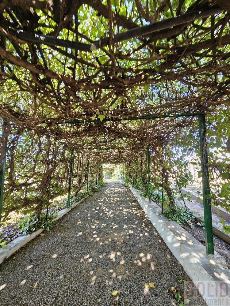 9 sypialnia Willa na sprzedaż w Vilamarxant / Villamarchante z basenem garażem - 560 000 € (Ref: 8183609)