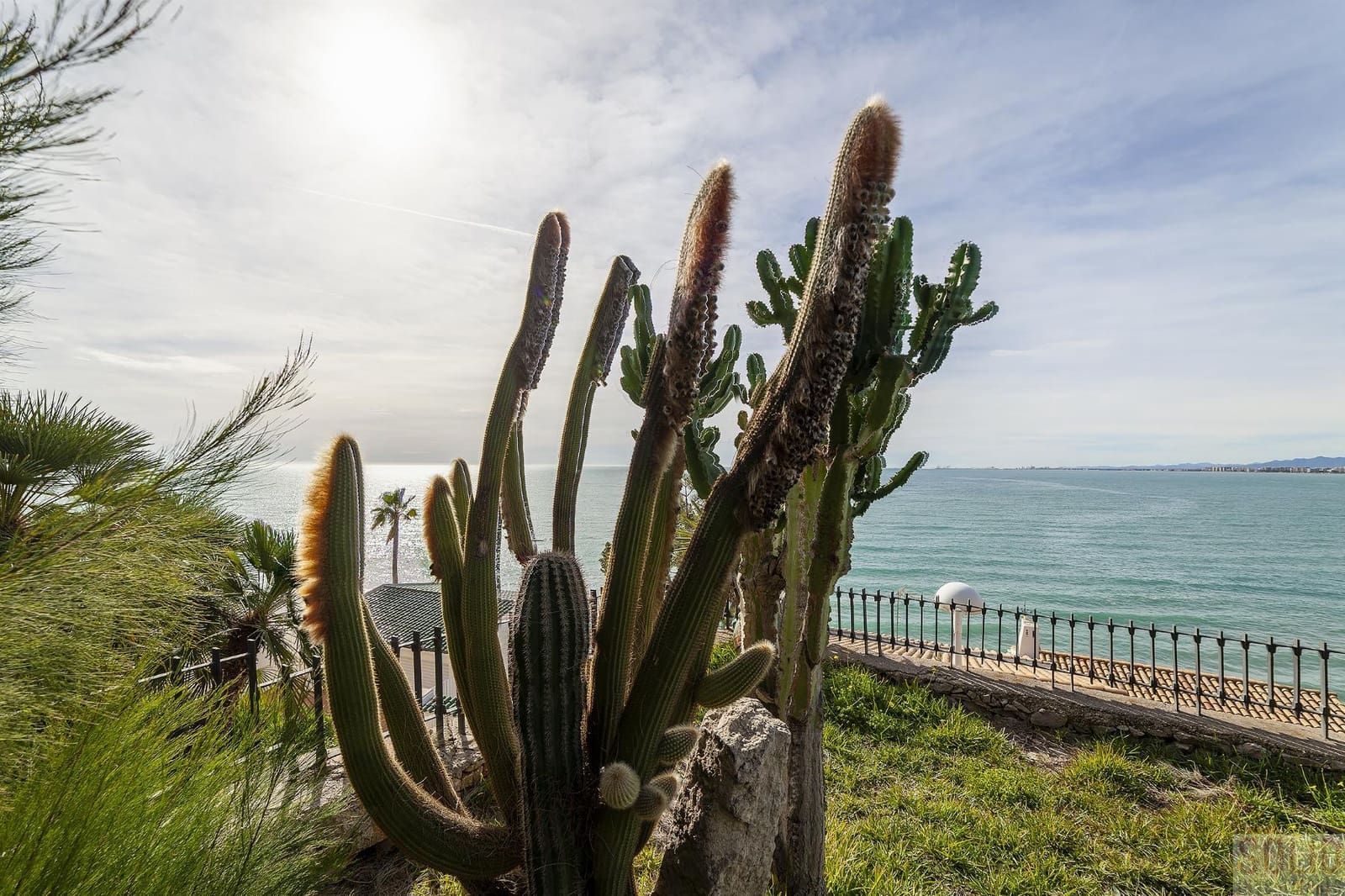 6 chambre Villa/Maison à vendre à Oropesa  avec piscine - 2 580 000 € (Ref: 9329890)