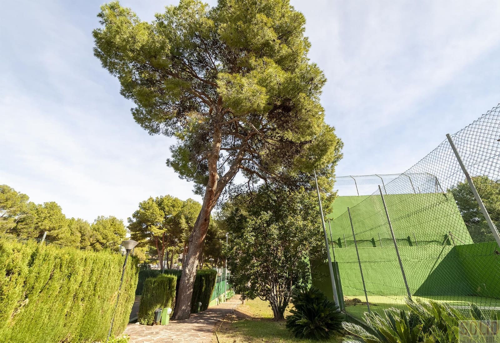 6 chambre Villa/Maison à vendre à Oropesa  avec piscine - 2 580 000 € (Ref: 9329890)