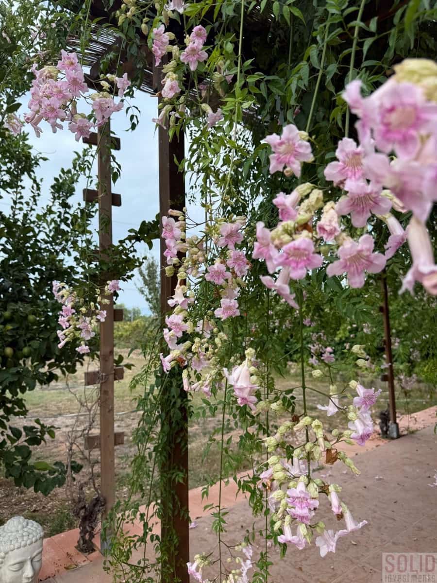 1 bedroom Apartment for rent in Lliria with pool garage - € 1,200 (Ref: 9419284)