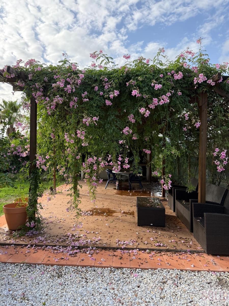 1 bedroom Apartment for rent in Lliria with pool garage - € 1,200 (Ref: 9419284)