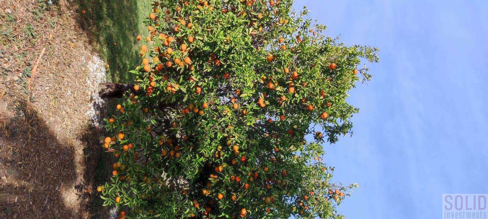 1 bedroom Apartment for rent in Lliria with pool garage - € 1,200 (Ref: 9419284)