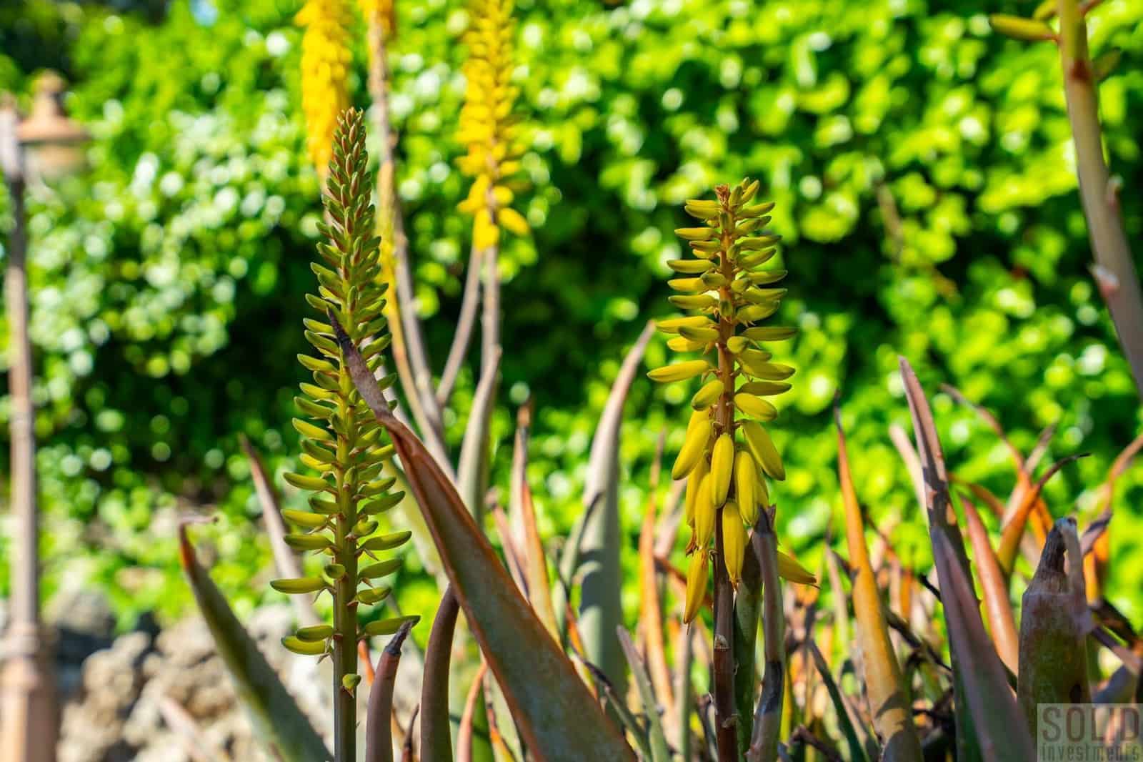 4 sovrum Villa till salu i Javea / Xabia med pool - 895 000 € (Ref: 9793695)