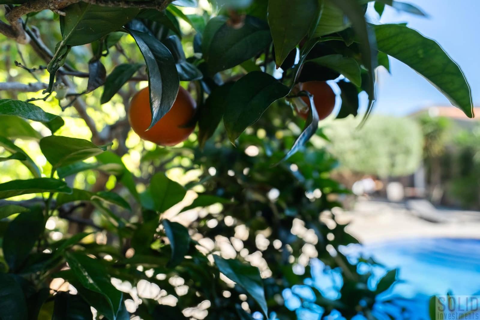 4 sovrum Villa till salu i Javea / Xabia med pool - 895 000 € (Ref: 9793695)