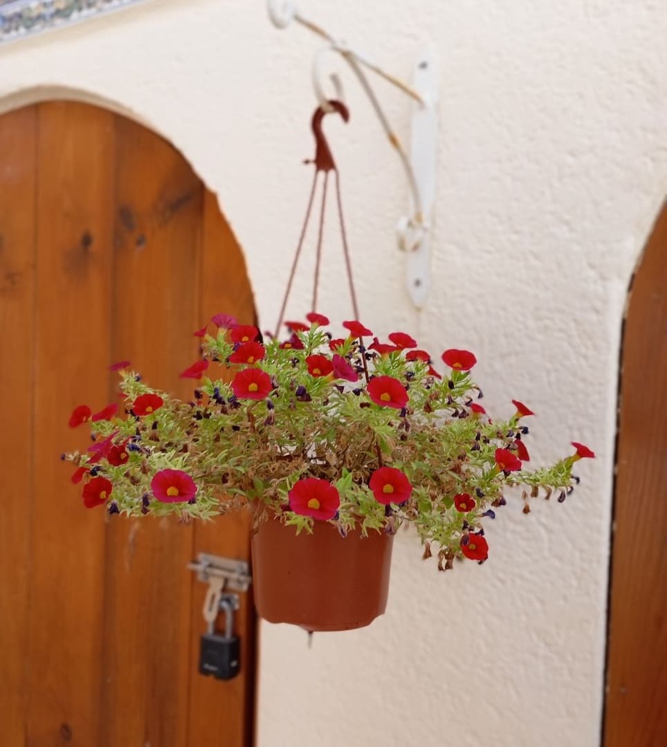 3 camera da letto Villa in vendita in Villamartin - 269.950 € (Rif: 9136282)