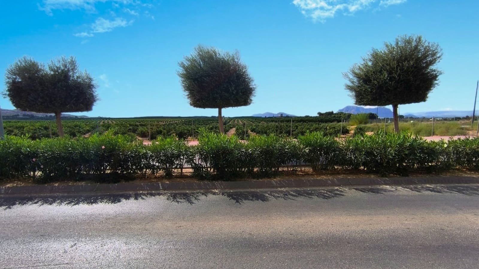 2 sovrum Lägenhet till salu i Algorfa med pool - 109 950 € (Ref: 9271481)