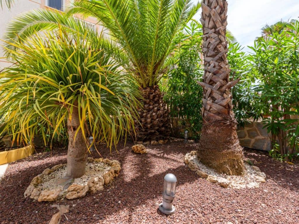 5 quarto Moradia para venda em Ciudad Quesada com piscina - 249 000 € (Ref: 9778647)