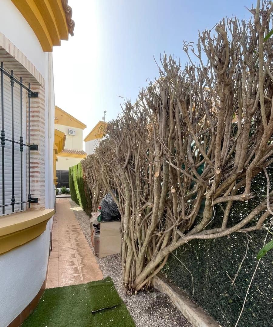 2 quarto Moradia para venda em Guardamar del Segura com piscina - 239 999 € (Ref: 9974308)