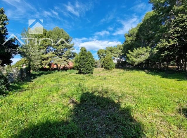 Terreno para Construção para venda em Cap Martí - El Tossalet - Pinomar, Javea / Xàbia - 340 000 € (Ref: 10045232)