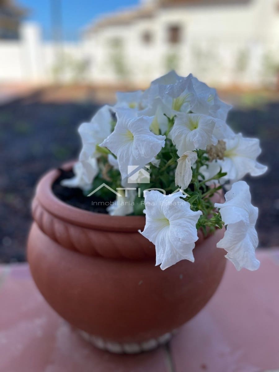 4 soveværelse Rækkehus til salg i Javea / Xabia med swimmingpool garage - € 900.000 (Ref: 9100893)