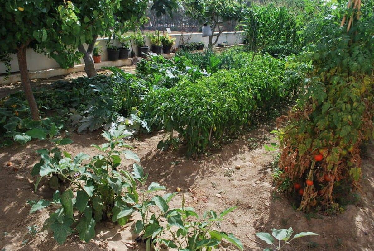 10 sypialnia Willa na sprzedaż w Las Lagunas de Mijas - 1 300 000 € (Ref: 5049065)