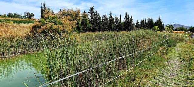 Finca/Landehus til salg i Cártama - € 900.000 (Ref: 6089574)