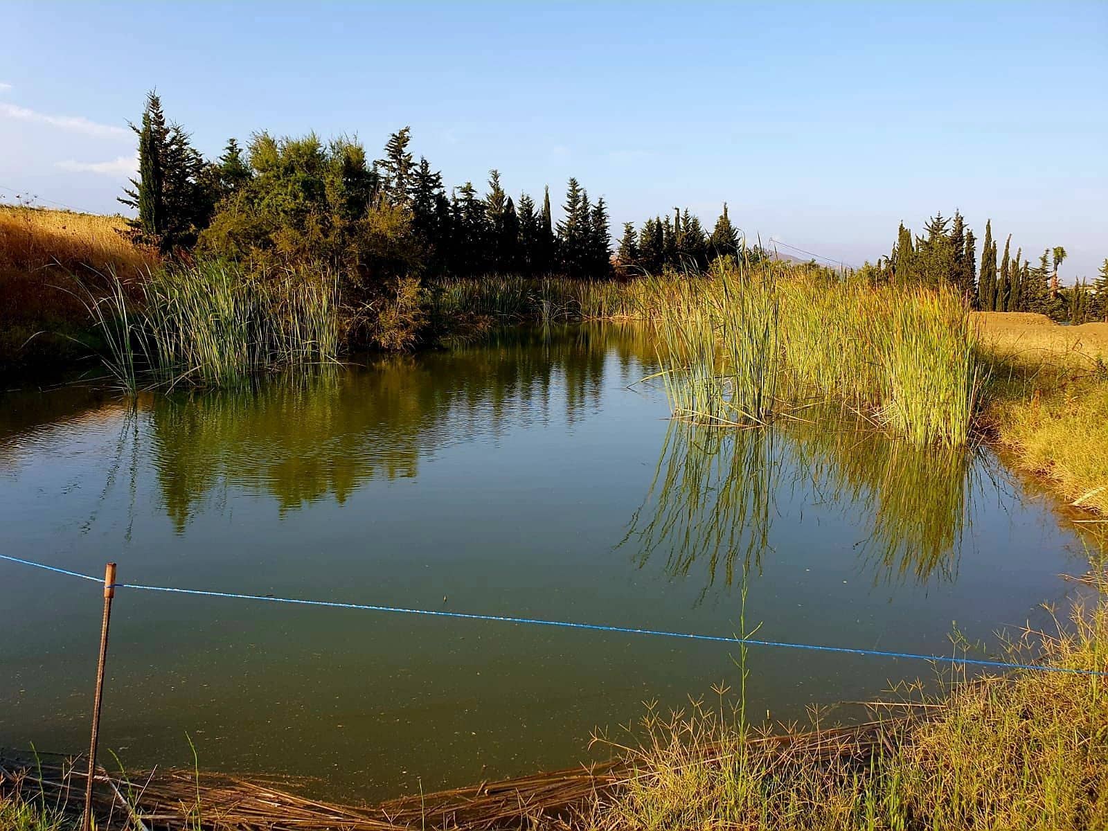 Finca/Herregård til salgs i Cartama - € 900 000 (Ref: 6089574)