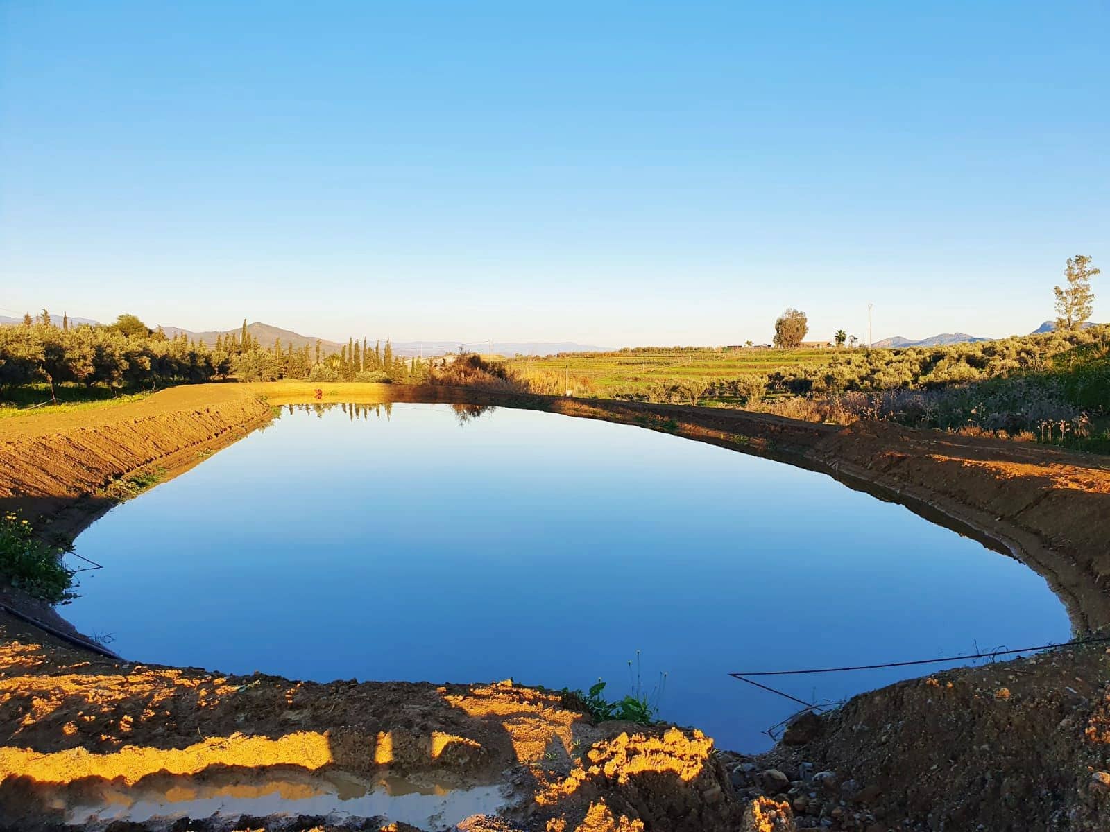 Finca/Herregård til salgs i Cartama - € 900 000 (Ref: 6089574)