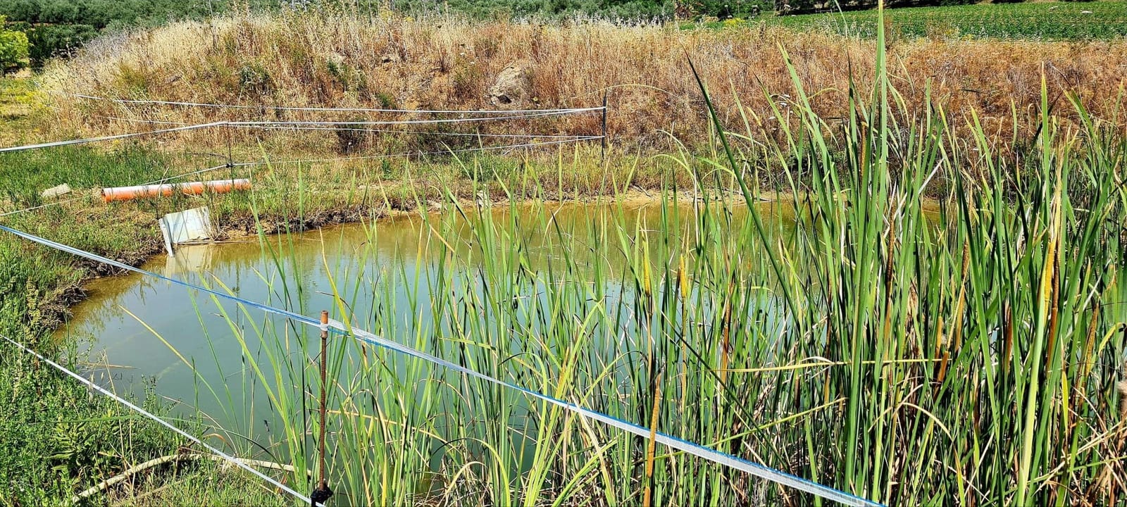 Finca/Herregård til salgs i Cartama - € 900 000 (Ref: 6089574)