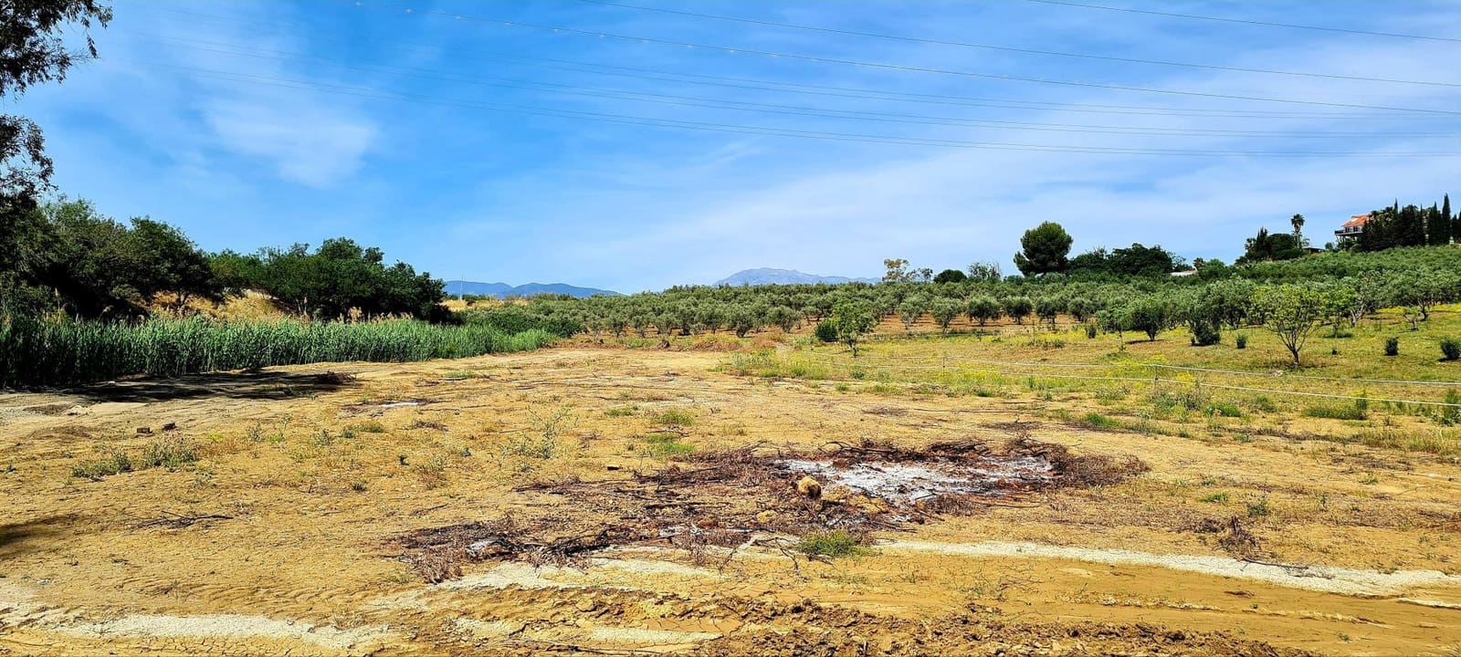 Finca/Herregård til salgs i Cartama - € 900 000 (Ref: 6089574)