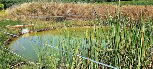 Finca/Landehus til salg i Cártama - € 900.000 (Ref: 6089574)