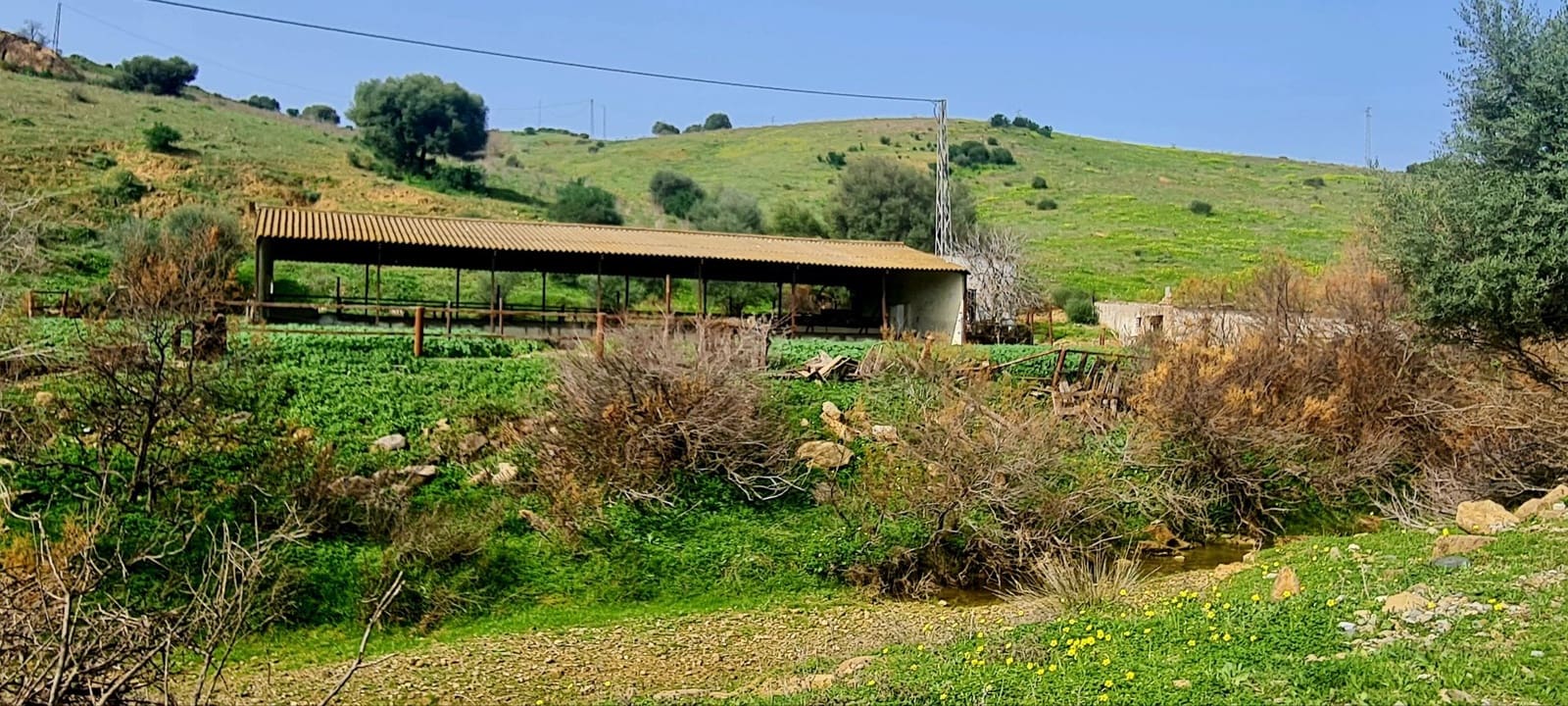 Finca/Country House for sale in Coin - € 650,000 (Ref: 7416441)