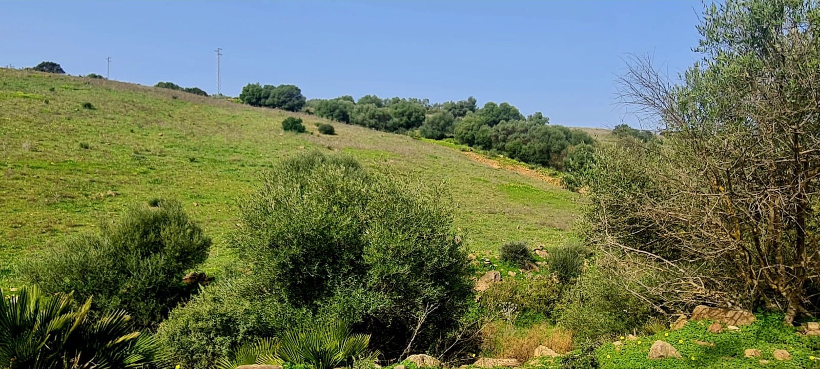 Finca/Country House for sale in Coin - € 650,000 (Ref: 7416441)