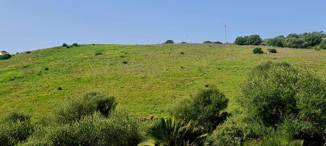 Finca/Landehus til salg i Coín - € 650.000 (Ref: 7416441)