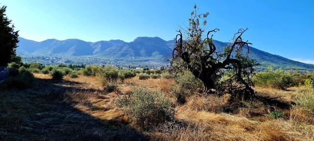 Finca/Herregård til salgs i Alhaurín el Grande - € 800 000 (Ref: 8119418)