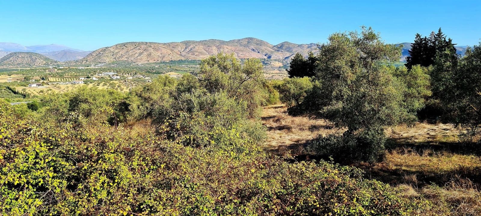 Finca/Country House for sale in Alhaurin el Grande - € 800,000 (Ref: 8119418)