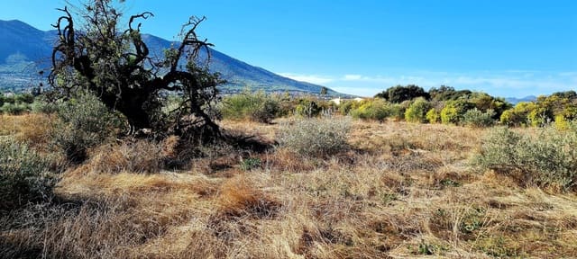 Finca/Herregård til salgs i Alhaurín el Grande - € 800 000 (Ref: 8119418)