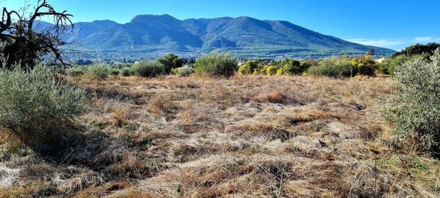 Finca/Herregård til salgs i Alhaurín el Grande - € 800 000 (Ref: 8119418)