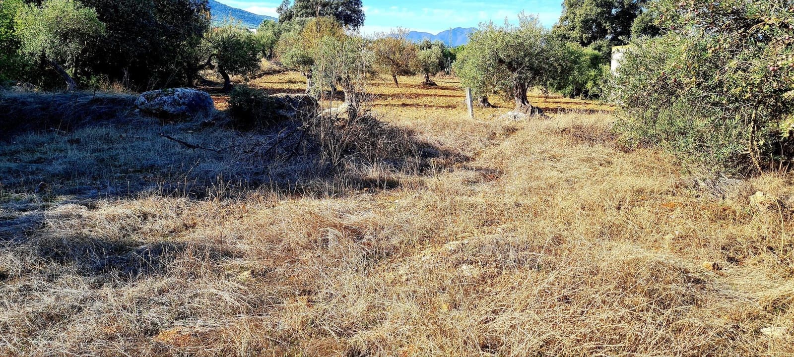 Finca/Country House for sale in Alhaurin el Grande - € 800,000 (Ref: 8119418)