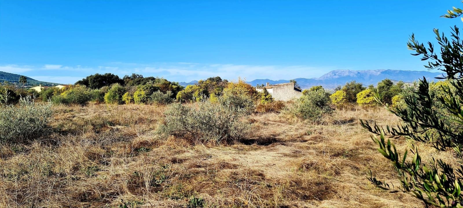 Finca/Country House for sale in Alhaurin el Grande - € 800,000 (Ref: 8119418)