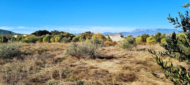 Finca/Herregård til salgs i Alhaurín el Grande - € 800 000 (Ref: 8119418)