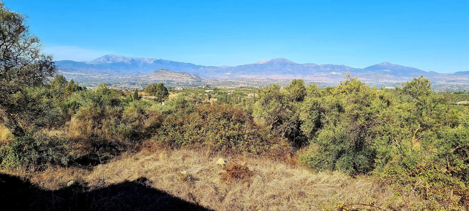 Finca/Country House for sale in Alhaurin el Grande - € 800,000 (Ref: 8119418)