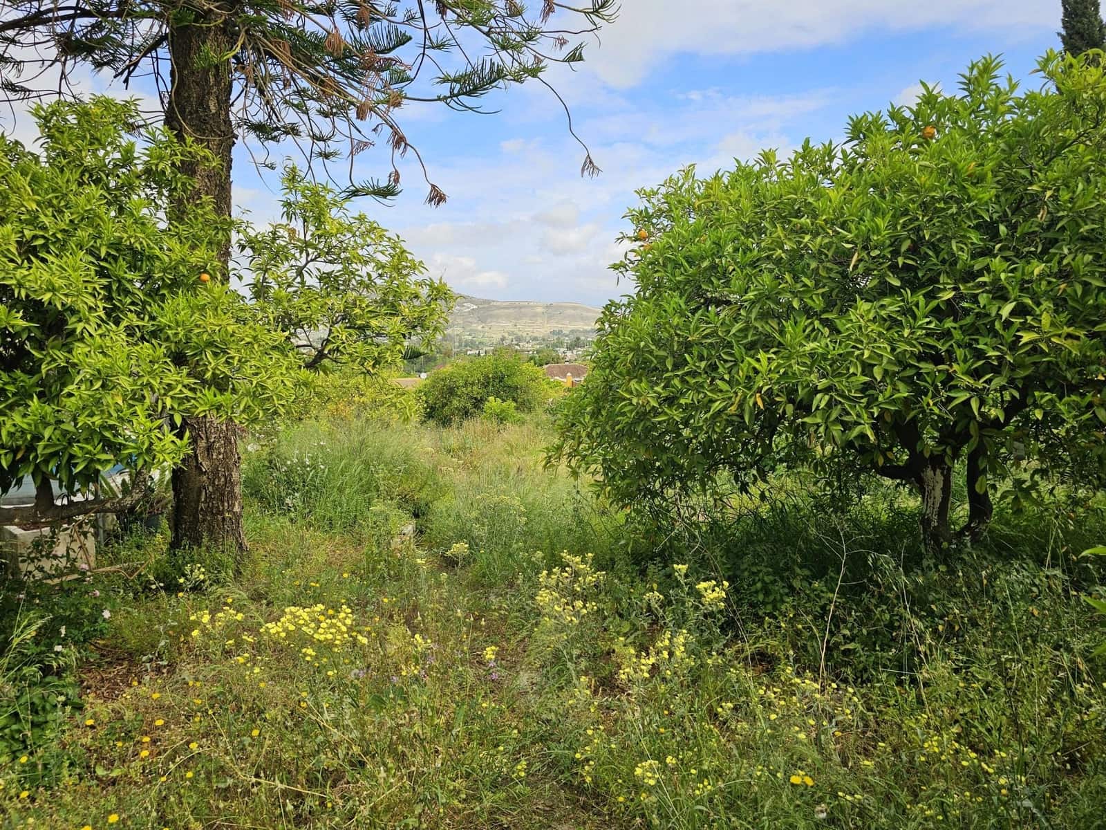 Finca/Landhuis te koop in Alhaurin el Grande - € 210.000 (Ref: 8287255)