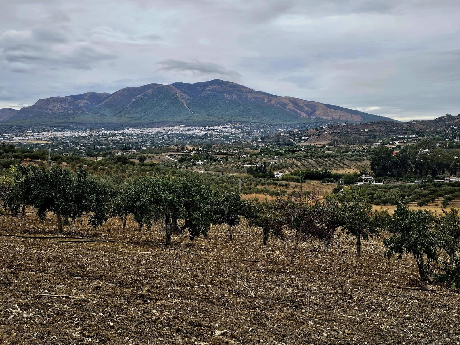 3 soveværelse Finca/Landehus til salg i Coin - € 270.000 (Ref: 8576114)