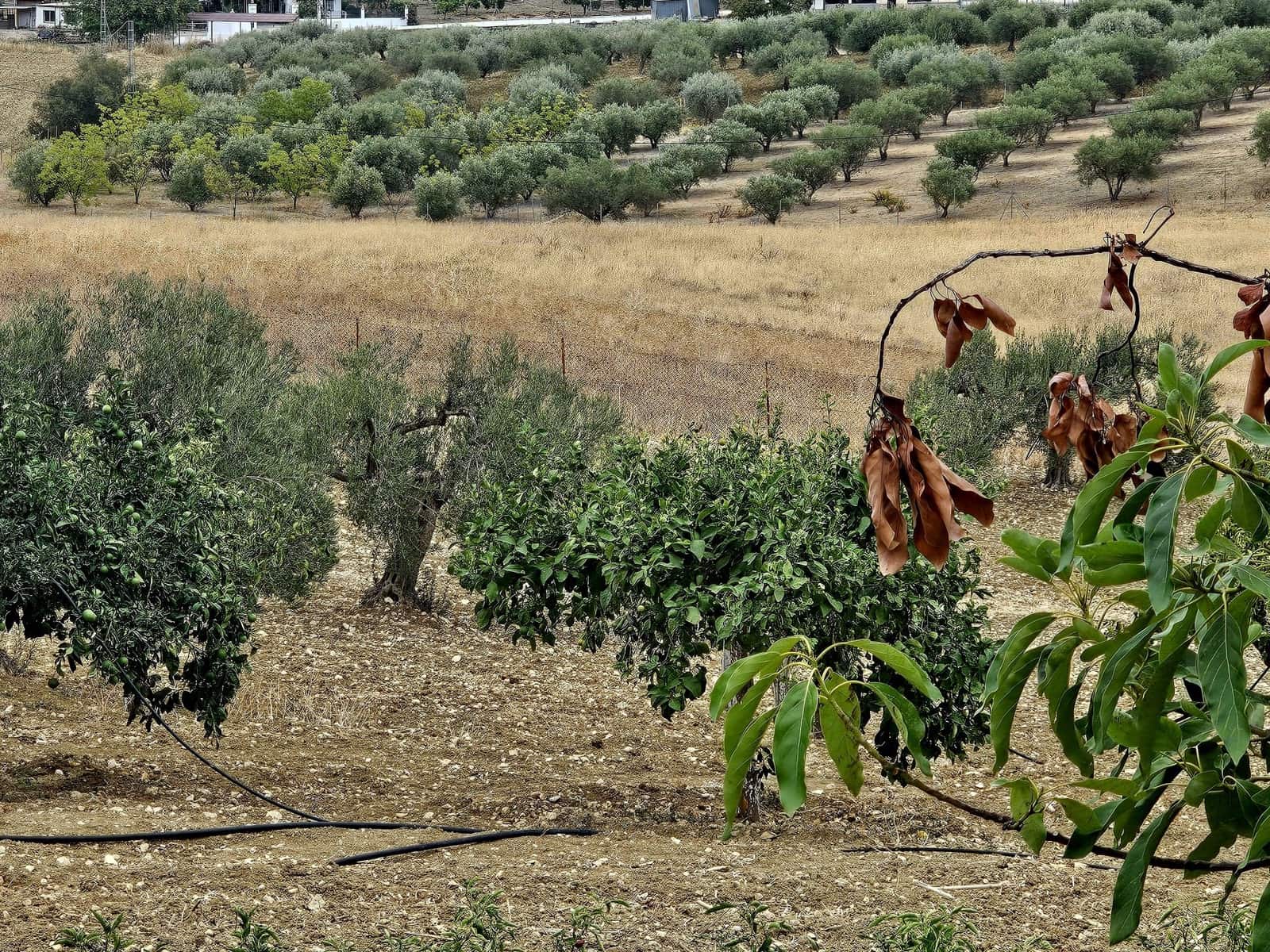 3 soveværelse Finca/Landehus til salg i Coin - € 270.000 (Ref: 8576114)