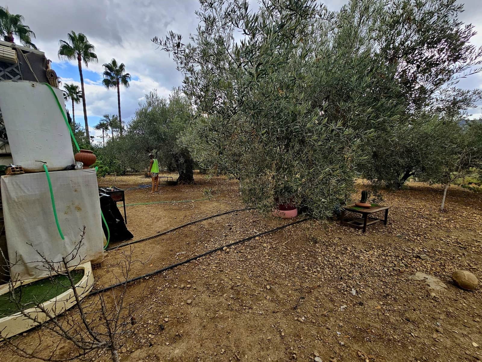 1 Zimmer Finca/Landgut zu verkaufen in Coin - 220.000 € (Ref: 8601240)